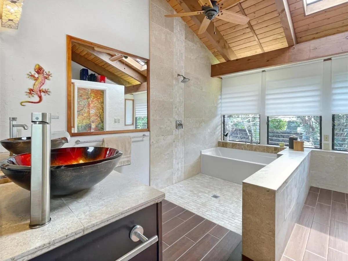 Hawaiian Escape With Pool Expansive Lanai Stunning Sunset Views Βίλα Καϊλούα-Κόνα Ηνωμένες Πολιτείες της Αμερικής