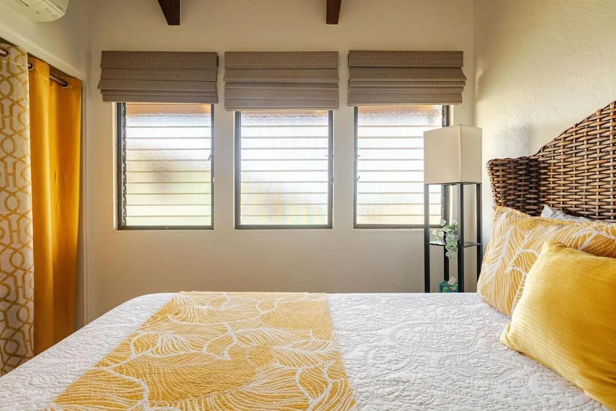 Hawaiian Escape With Pool Expansive Lanai Stunning Sunset Views Βίλα Καϊλούα-Κόνα Ηνωμένες Πολιτείες της Αμερικής